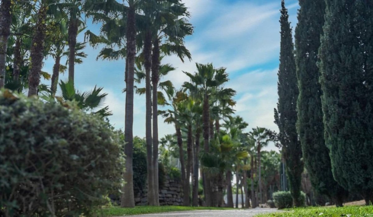 Новое здание - Пентхаус - Fuengirola