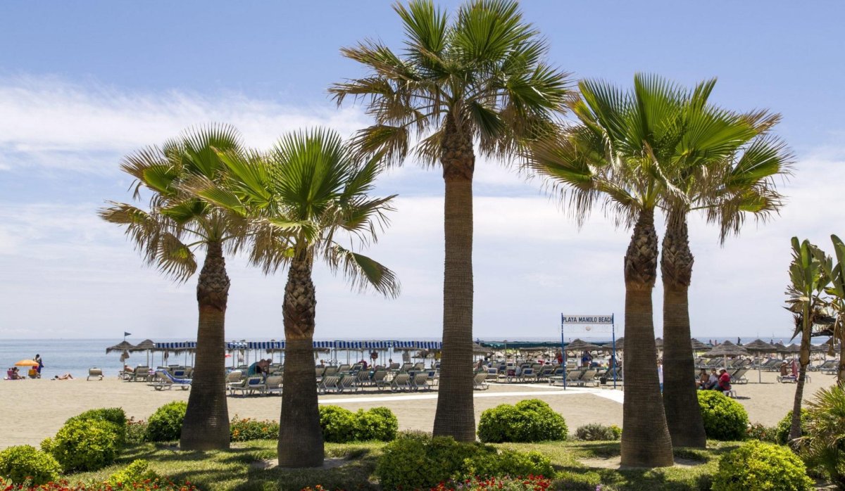 Nauja statyba - Butas / butas - 