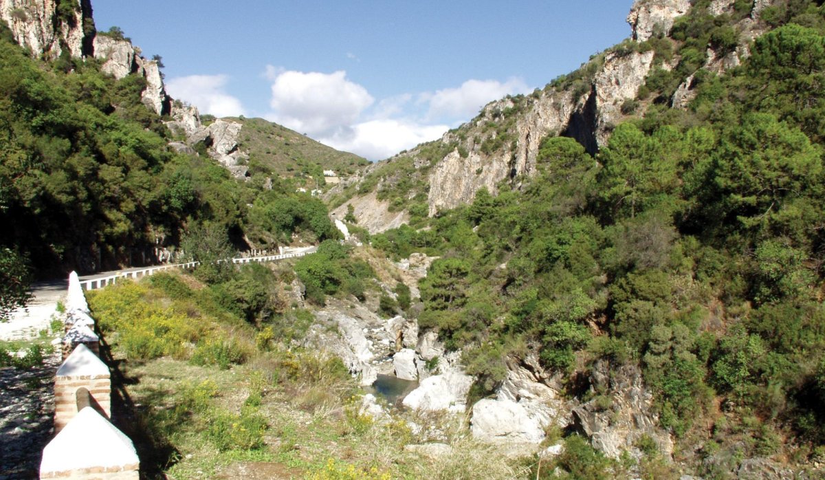 Nauja statyba - Butas / butas - 