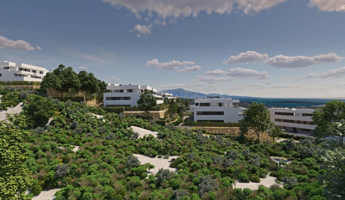 Rynek Pierwotny - Penthouse - Casares