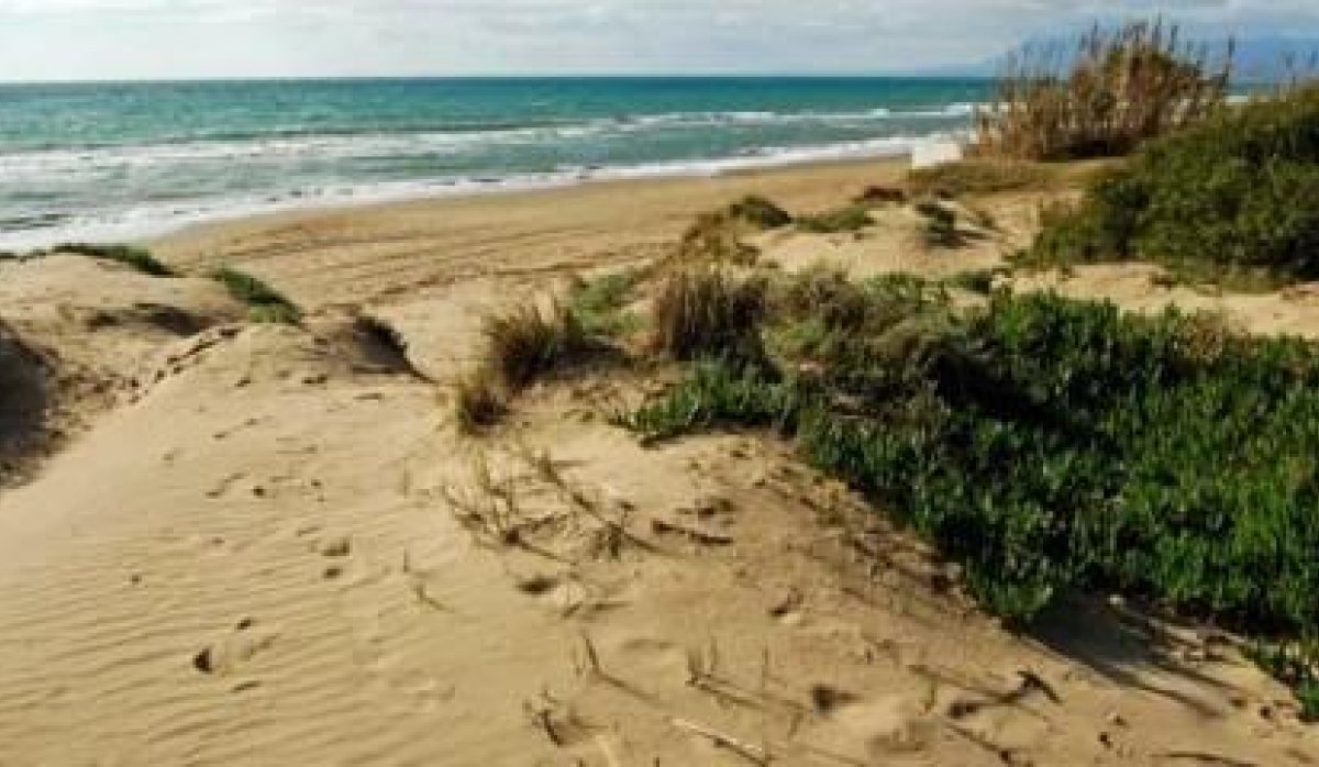 Obra nueva - Apartamento / piso - Marbella