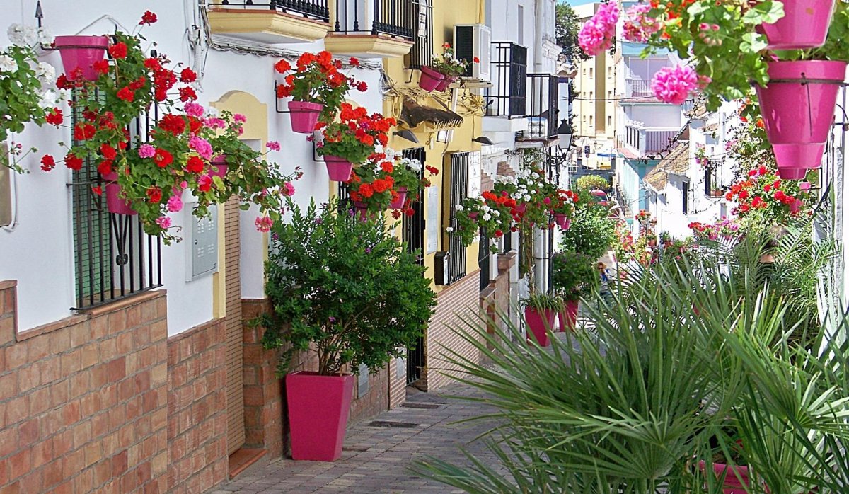 Nauja statyba - Butas / butas - 