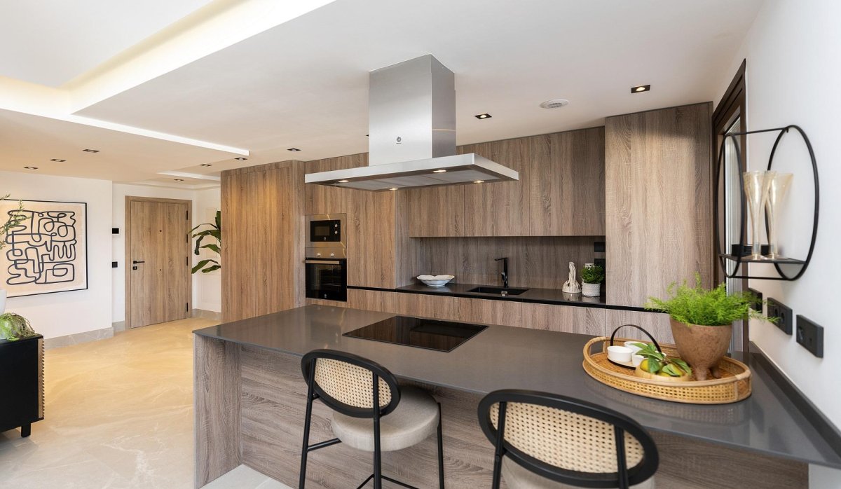 Nauja statyba - Penthausas - 