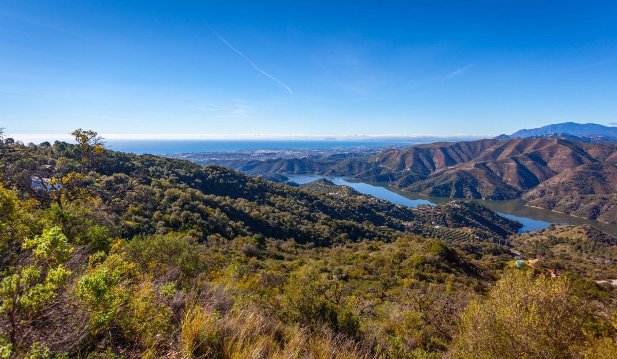 Nauja statyba - Penthausas - 