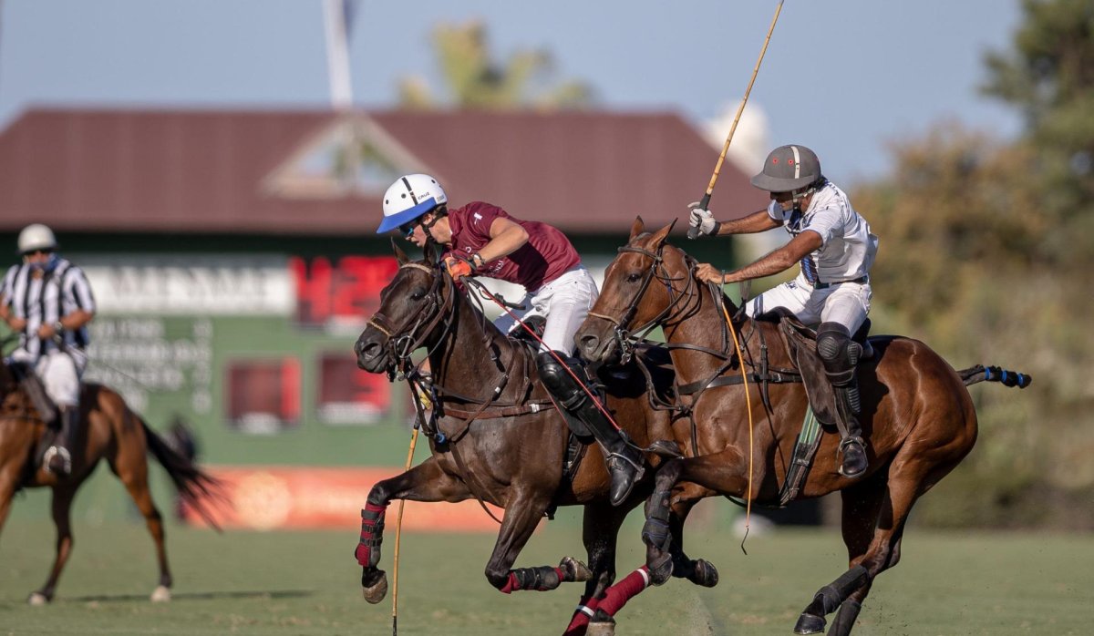 New Build - Townhouse - Sotogrande