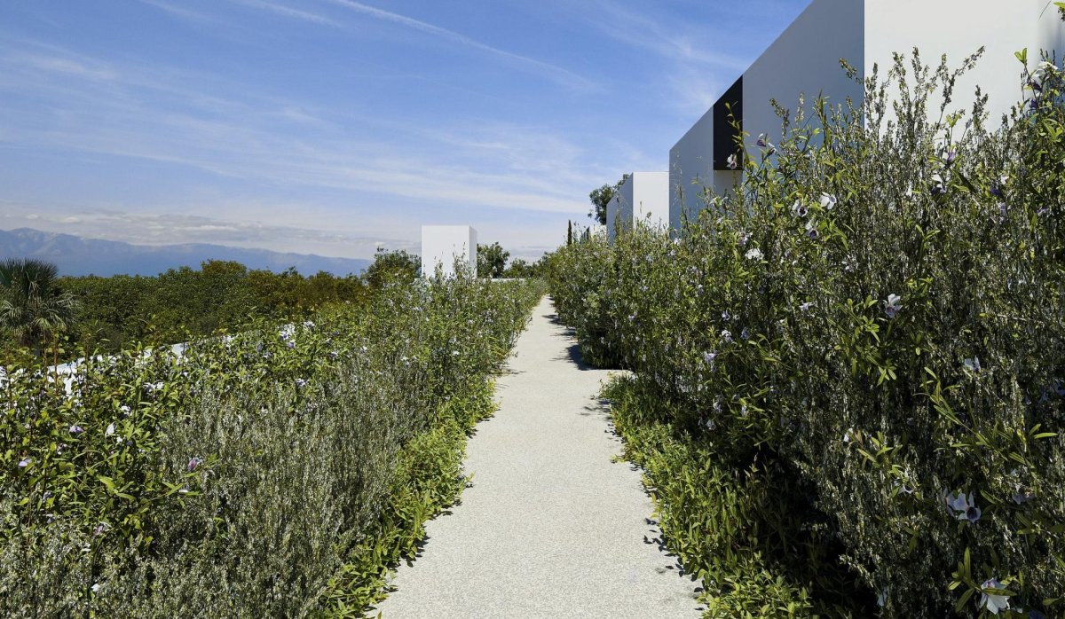 Obra nueva - Villa - Alfas del Pí - Alfas del Pi