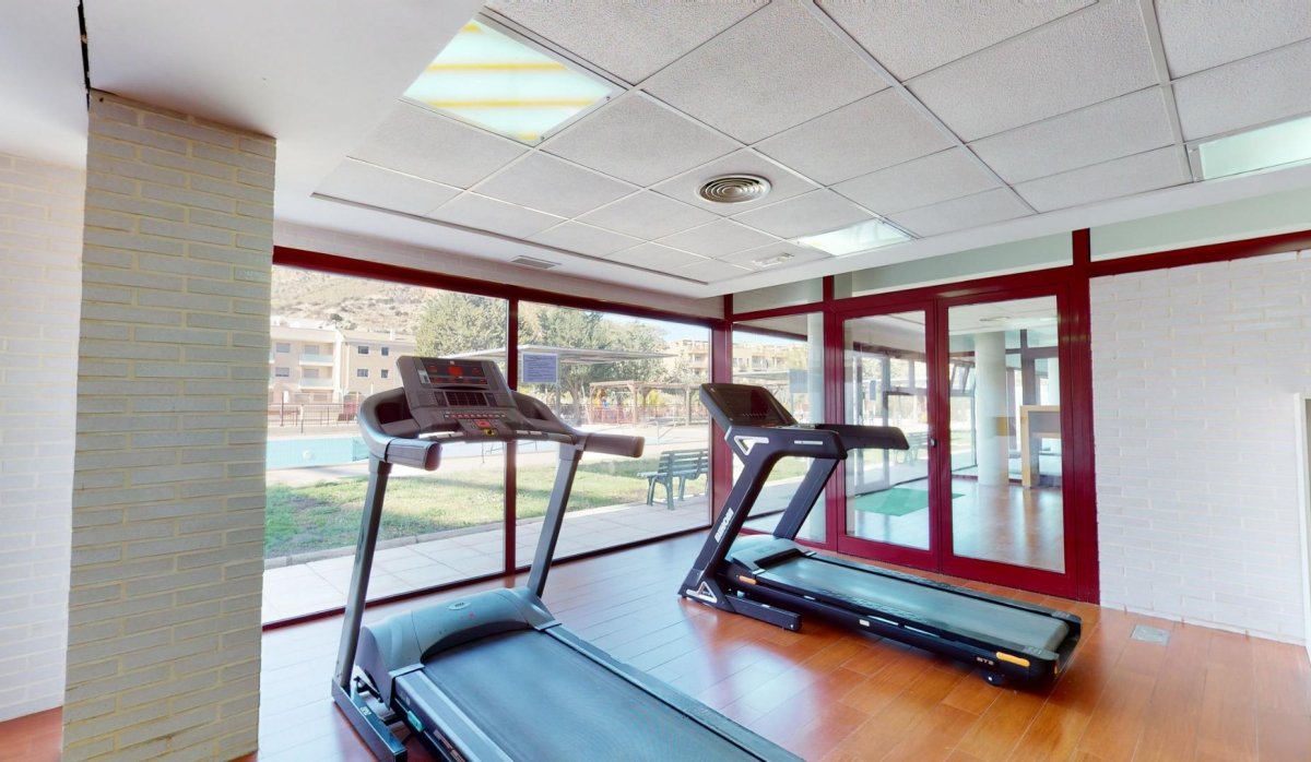 Obra nueva - Apartamento / piso - Archena