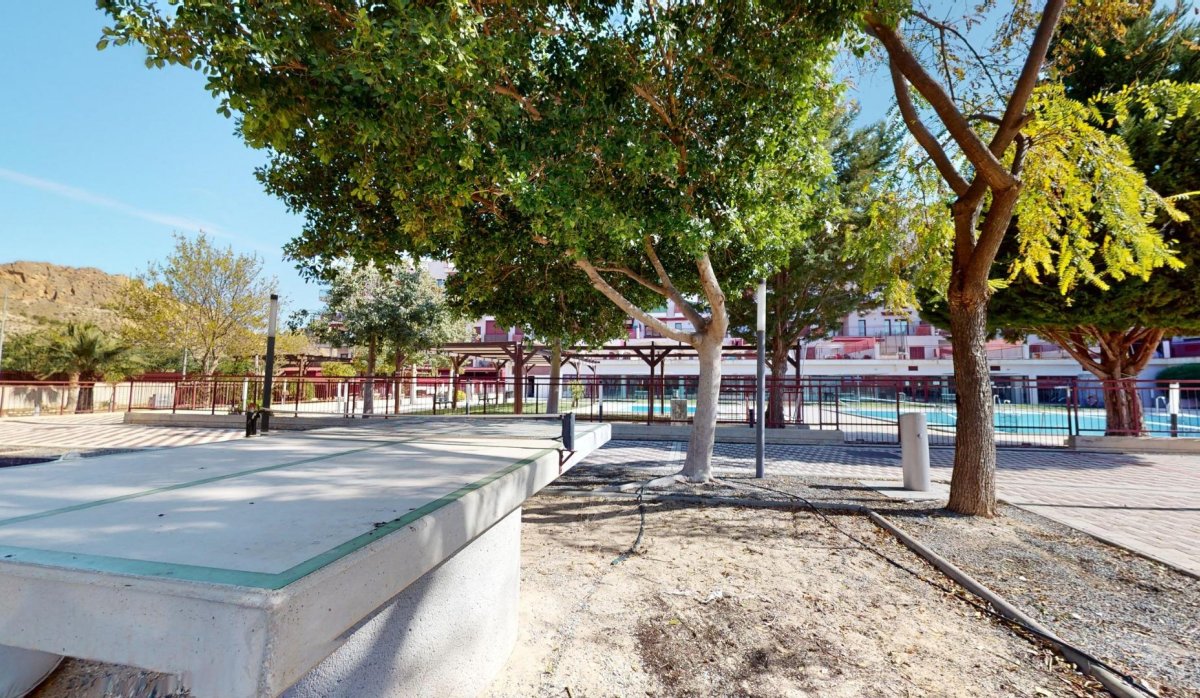 Obra nueva - Apartamento / piso - Archena