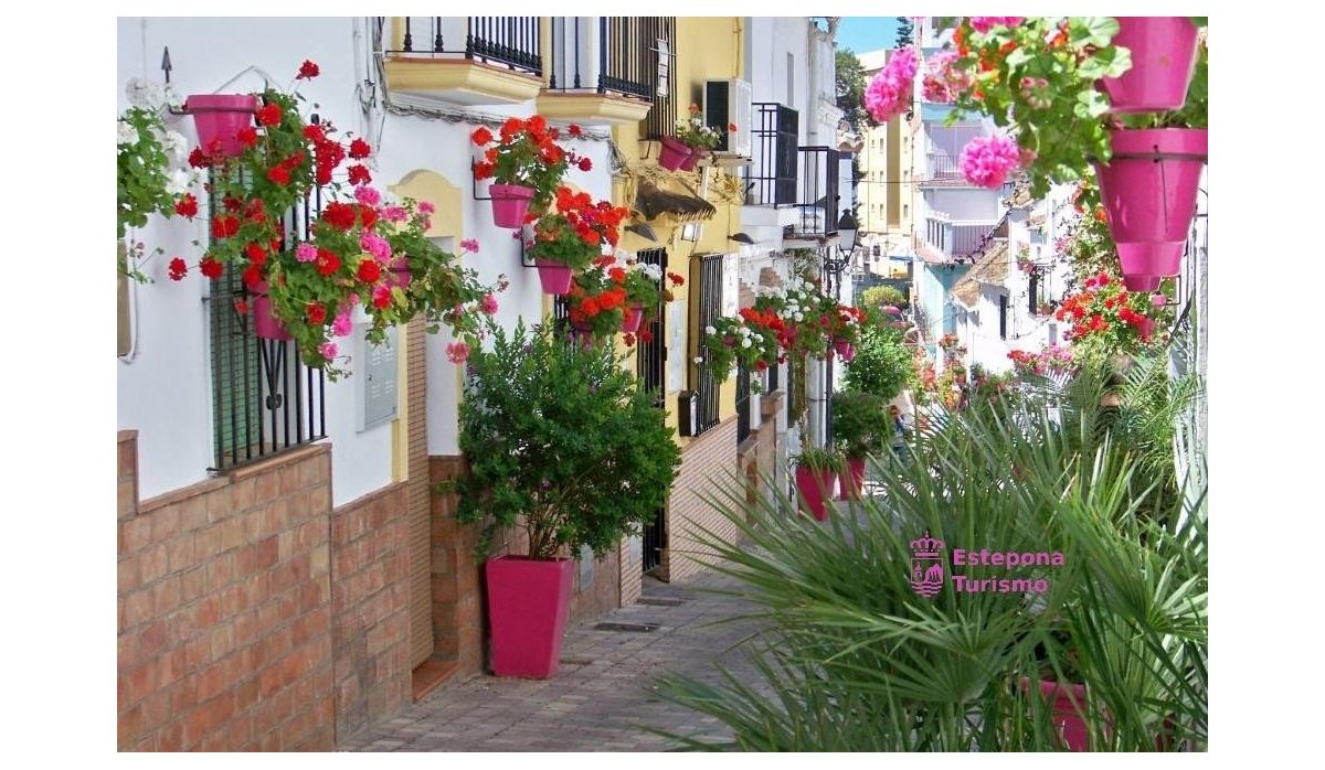 Nauja statyba - Penthausas - 