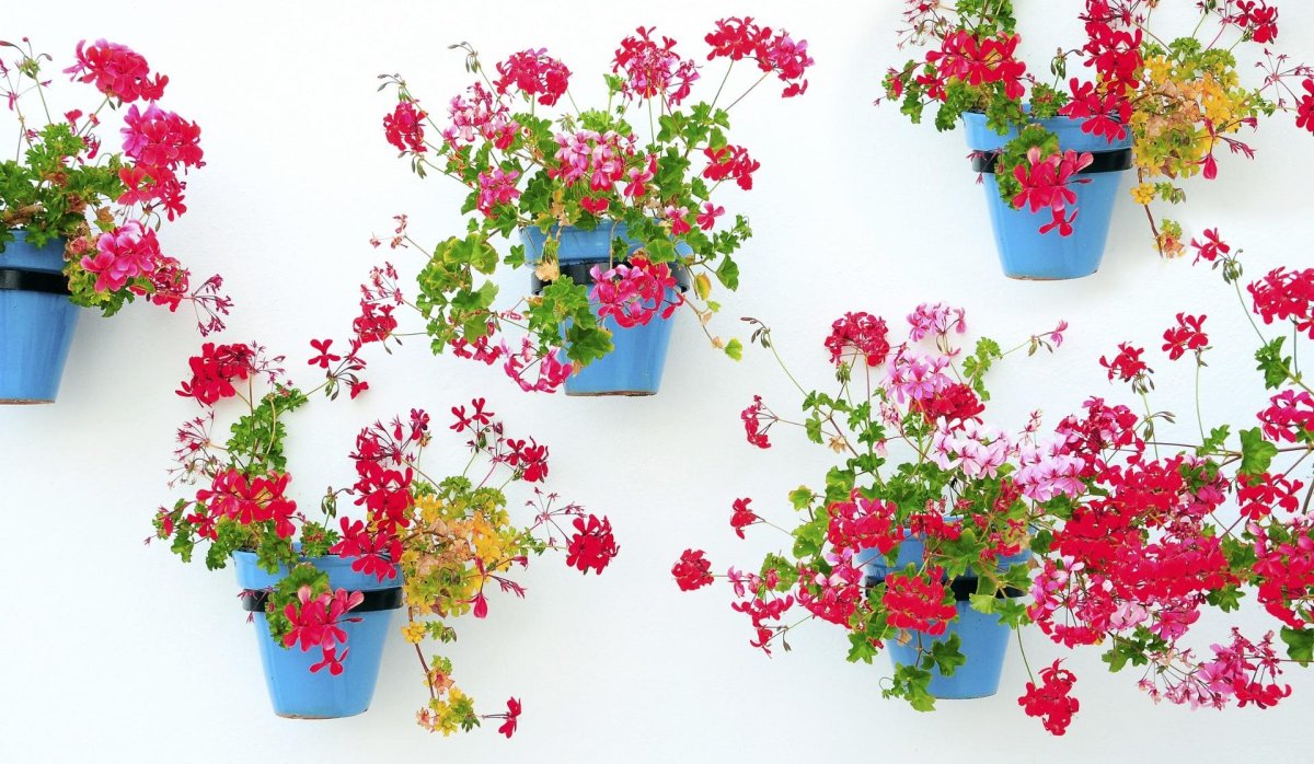 Nauja statyba - Butas / butas - 