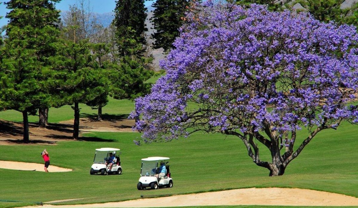 New Build - Penthouse - Mijas