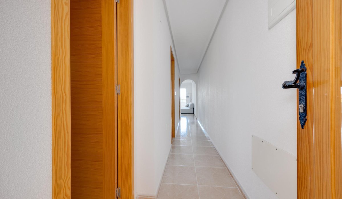 Obra nueva - Apartamento / piso - San Fulgencio