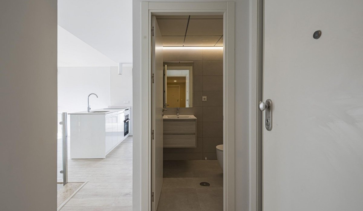 Nauja statyba - Penthausas - 